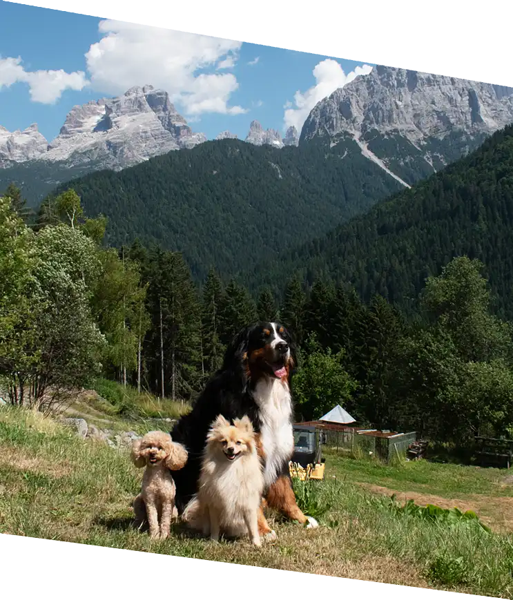 Ristorante Albergo Hotel in Trentino - Al Fratè Madonna di Campiglio